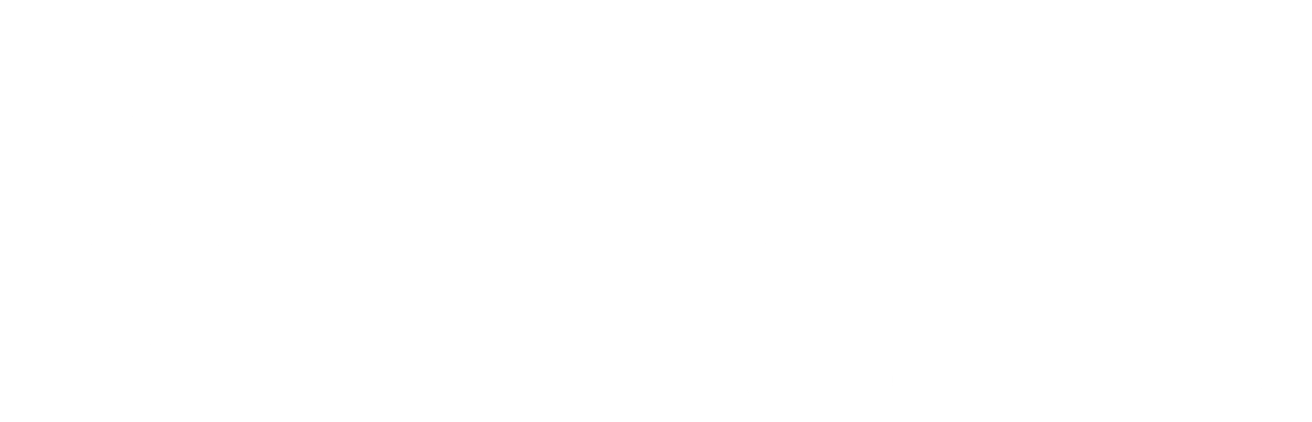 03_LOGOTIPO_BRANCO