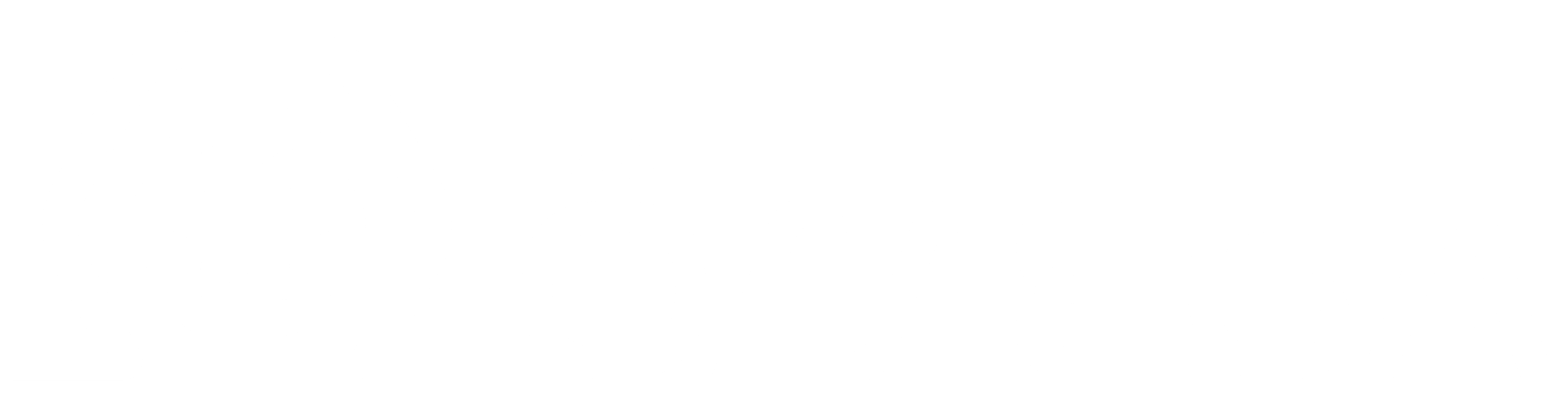 03_LOGOTIPO_BRANCO