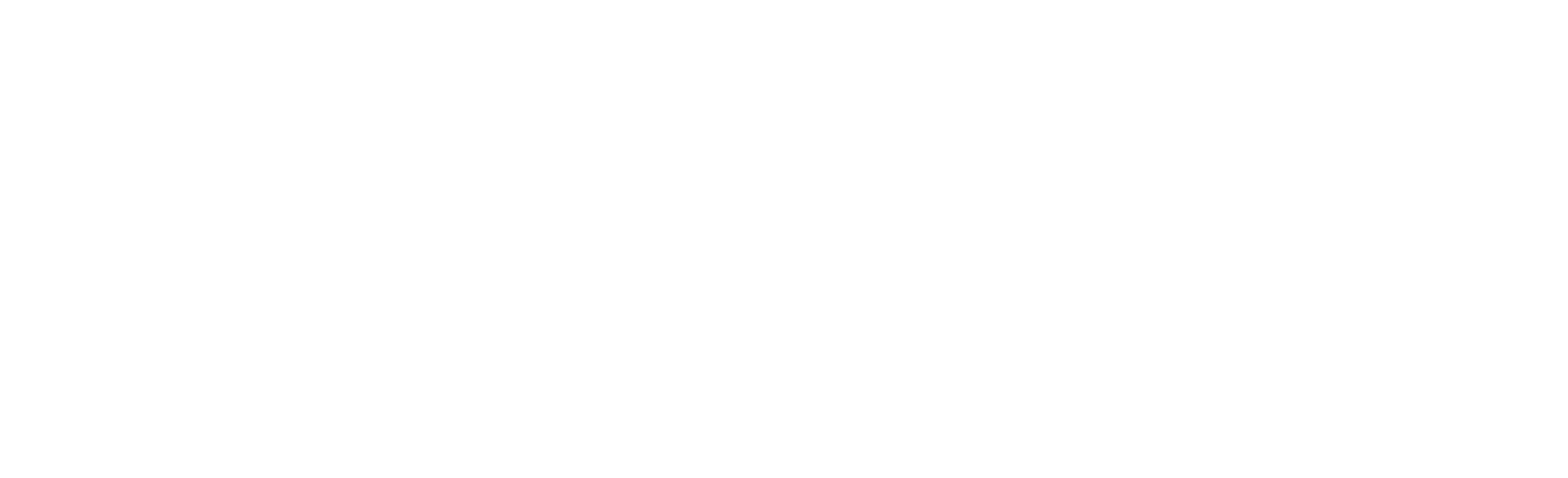 05_LOGOTIPO_PRIMARIO_BRANCO